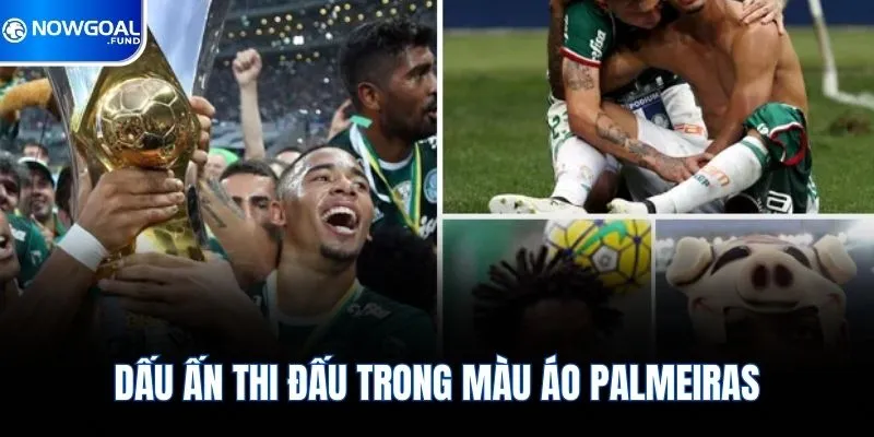 Dấu ấn thi đấu trong màu áo Palmeiras