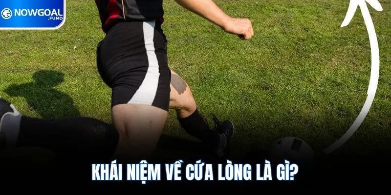 Khái niệm về cứa lòng là gì?